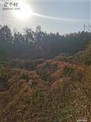 湖南省,长沙市,宁乡市,沙田乡,石梅村