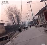 河北省,廊坊市,安次区,调河头乡,洛驼庄三村