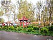 山东省,潍坊市,寿光市,圣城街道,沙阿村