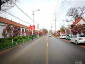 山东省,潍坊市,寿光市,圣城街道,沙阿村