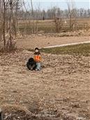 河南吴村 胡家过道的枕门石