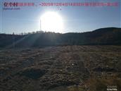 辽宁省,朝阳市,龙城区,半拉山街道,半拉山村