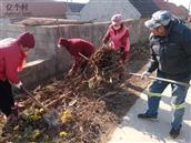 山东省,威海市,荣成市,人和镇,秦家竹村