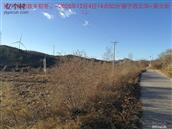 辽宁省,朝阳市,龙城区,半拉山街道,半拉山村