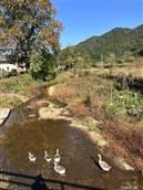 江西省,赣州市,宁都县,东韶乡,南团村