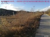 辽宁省,朝阳市,龙城区,半拉山街道,半拉山村