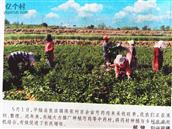 山西省,运城市,平陆县,张店镇,陈张村