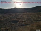 辽宁省,朝阳市,龙城区,半拉山街道,半拉山村