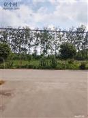 江苏省,连云港市,灌云县,图河乡,腰庄村