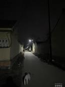 河南省,商丘市,永城市,苗桥镇,李黑楼村