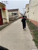 河南省,商丘市,永城市,苗桥镇,李黑楼村