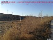 辽宁省,朝阳市,龙城区,半拉山街道,半拉山村