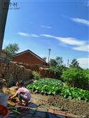 湖北省,孝感市,云梦县,下辛店镇,老江村