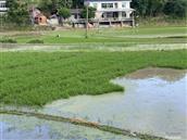 湖南省,怀化市,中方县,花桥镇,利花村