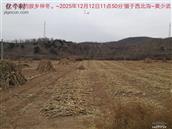 辽宁省,朝阳市,龙城区,半拉山街道,半拉山村