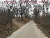 辽宁省,朝阳市,龙城区,半拉山街道,半拉山村