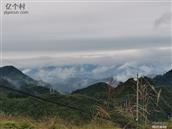 新寨村 新寨村中寨组，原名野鸡坝，凤野也！《尔雅·释鸟》定义“凤凰，其雌皇，鸡头、蛇颈、燕颔、龟背、鱼尾，五彩色，高六尺许”——点明凤凰的头部是“鸡头”，是所有身体特征里的核心基础，绝非其他鸟类。皆说祥瑞之意，是为福地。今望及桑梓，颇为意动，以图记之。