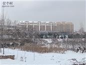 山东省,泰安市,肥城市,仪阳镇,鹿沟村