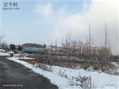 山东省,泰安市,肥城市,仪阳镇,鹿沟村