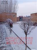 河北省,石家庄市,辛集市,南智丘镇,西城村