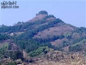 浙江省,金华市,永康市,东城街道,炉头村