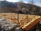 山西省,大同市,灵丘县,赵北乡,跃子沟村