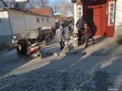 山东省,烟台市,莱州市,平里店镇,大沟崖村