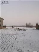 河南省,周口市,郸城县,宁平镇,牛庄村