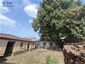 山东省,东营市,利津县,北宋镇,道岔村