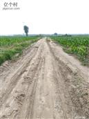 山东省,东营市,利津县,北宋镇,道岔村