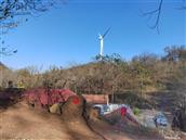 山东省,潍坊市,临朐县,寺头镇,丹崮村