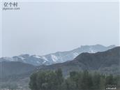 河北省,张家口市,怀安县,怀安城镇,山旗屯村