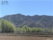 河北省,张家口市,怀安县,怀安城镇,山旗屯村