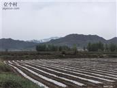 河北省,张家口市,怀安县,怀安城镇,山旗屯村