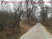 辽宁省,朝阳市,龙城区,半拉山街道,半拉山村