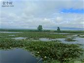 黑龙江省,绥化市,海伦市,联发乡,百华村