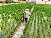 贵州省,黔东南州,镇远县,舞阳镇,沿河村