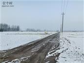 河南省,周口市,郸城县,宜路镇,王楼村