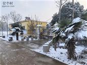 河南省,周口市,郸城县,宜路镇,王楼村