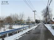 河南省,周口市,郸城县,宜路镇,王楼村