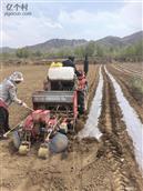 河北省,张家口市,怀安县,怀安城镇,山旗屯村