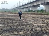 广东省,阳江市,江城区,埠场镇,那蓬村