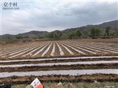 河北省,张家口市,怀安县,怀安城镇,山旗屯村