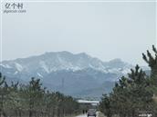 河北省,张家口市,怀安县,怀安城镇,山旗屯村