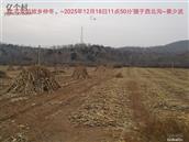 辽宁省,朝阳市,龙城区,半拉山街道,半拉山村