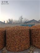 山西省,朔州市,朔城区,小平易乡,安庄村