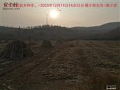 辽宁省,朝阳市,龙城区,半拉山街道,半拉山村