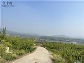 河南省,南阳市,淅川县,毛堂乡,下沟村