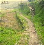 湖南省,邵阳市,城步县,白毛坪乡,枫界村