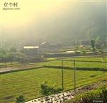 湖南省,邵阳市,城步县,白毛坪乡,枫界村